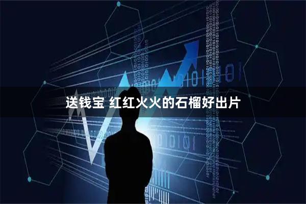 送钱宝 红红火火的石榴好出片