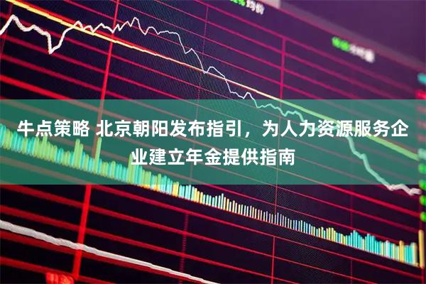 牛点策略 北京朝阳发布指引，为人力资源服务企业建立年金提供指南