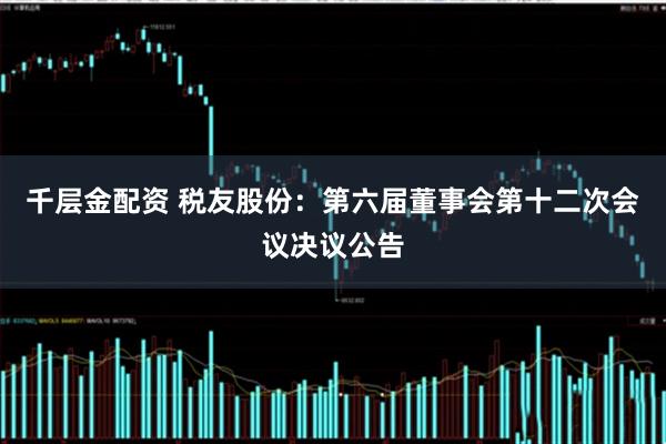 千层金配资 税友股份：第六届董事会第十二次会议决议公告